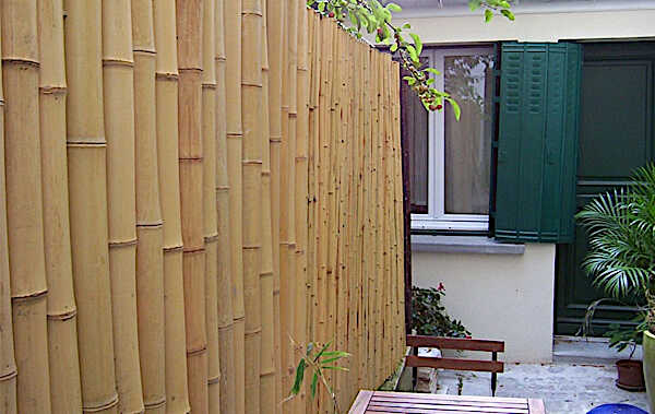 Bamboo Poles